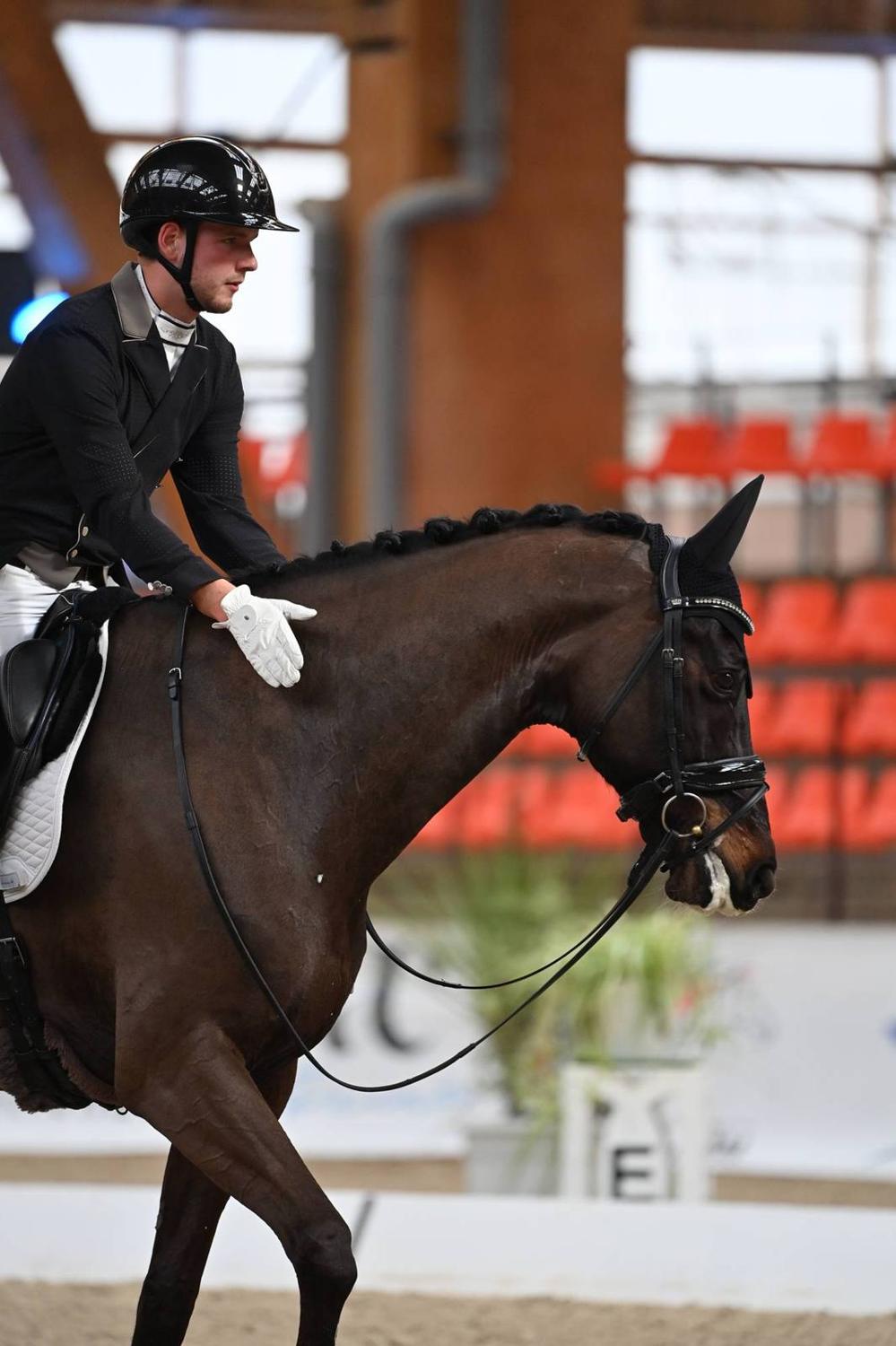 Cours de dressage avec Tristan Le Minoux au manège