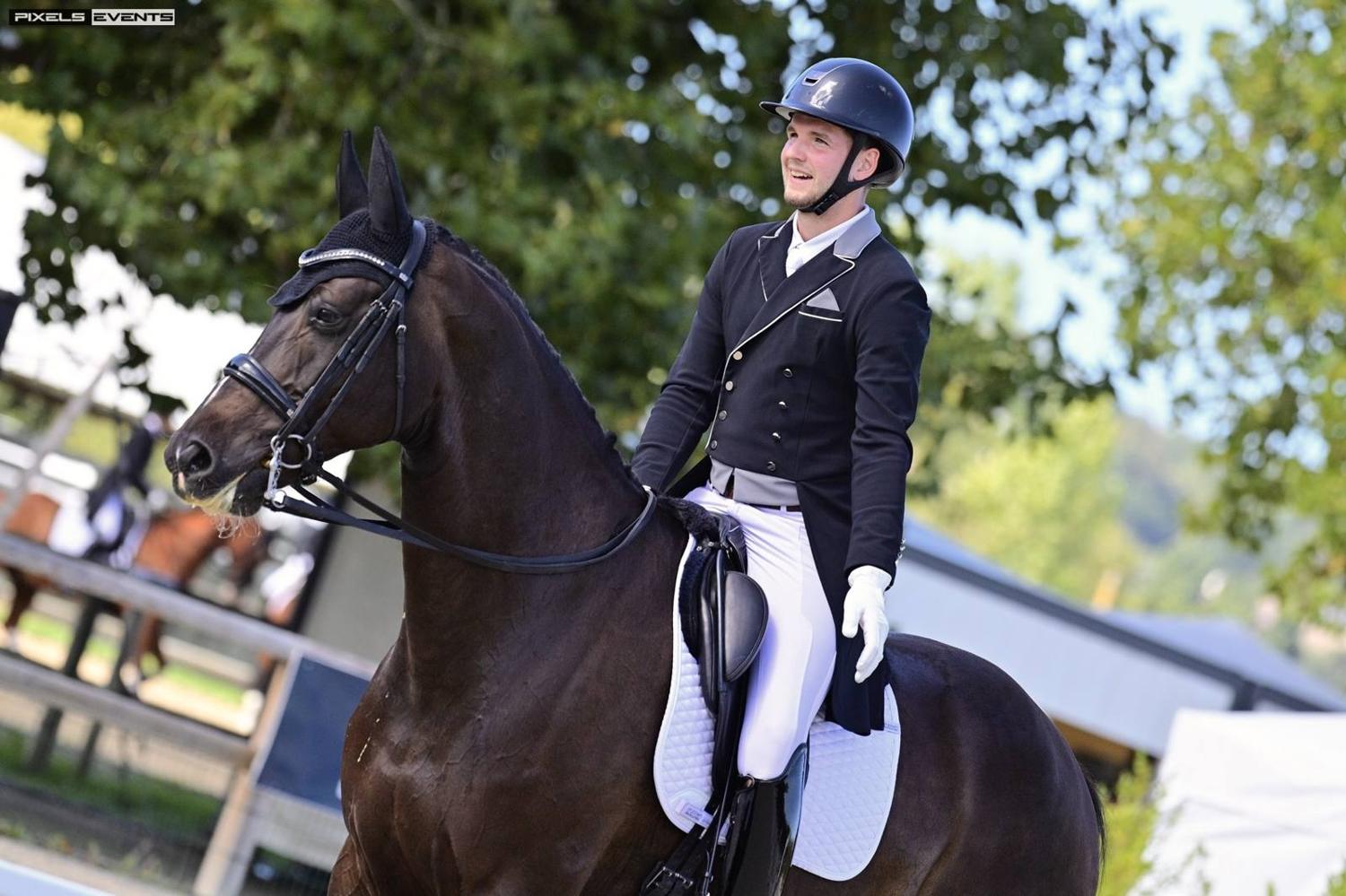 Reprise de dressage en carrière